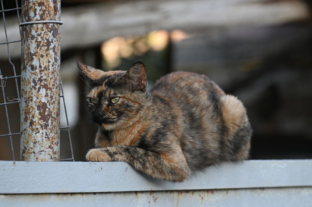 Photograph by Ольга Пумочка-13