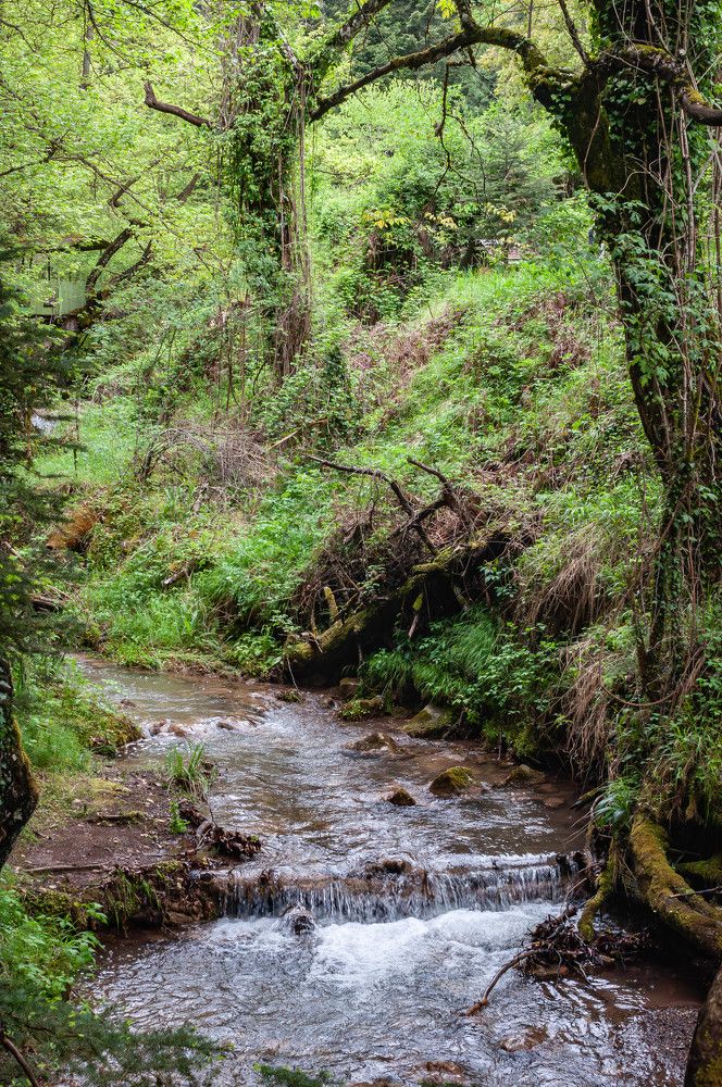 Фотография автора DIMITRIS MPAZIOTOPOULOS