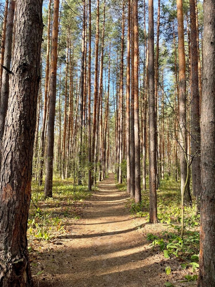 Photograph by Svetlana Rashidova