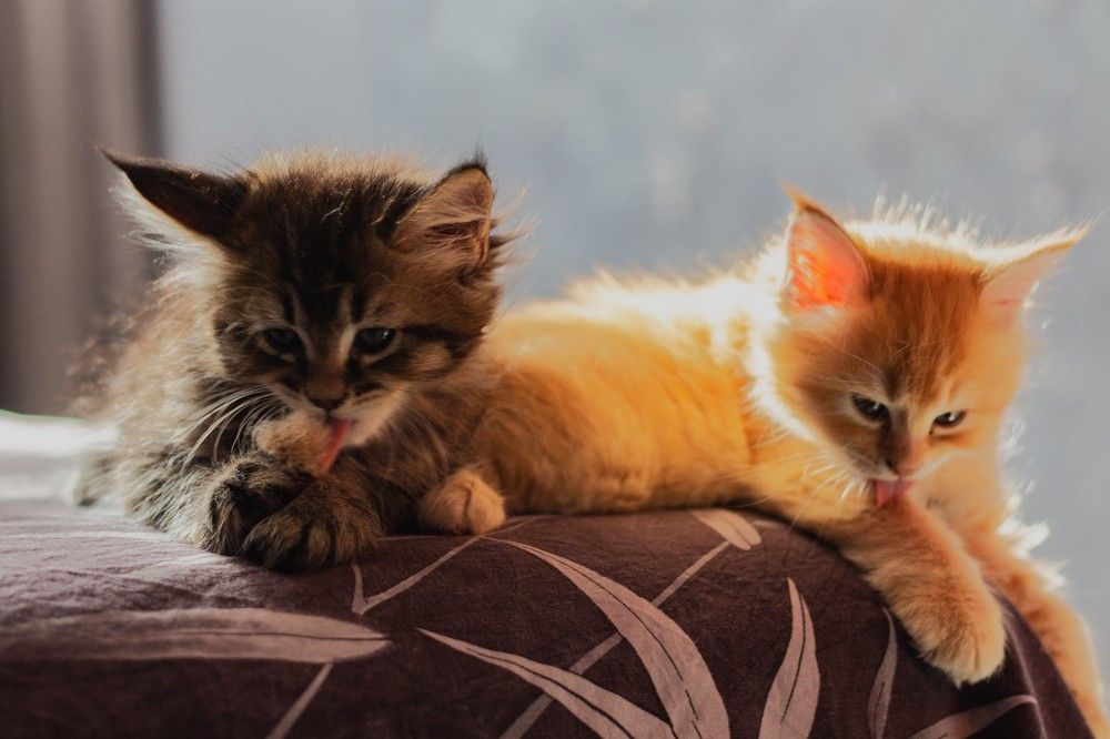 Photograph by Марина Игнатьева