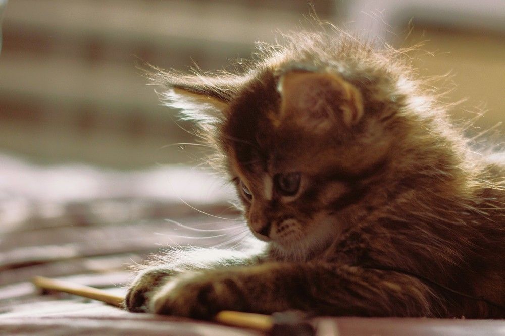 Photograph by Марина Игнатьева