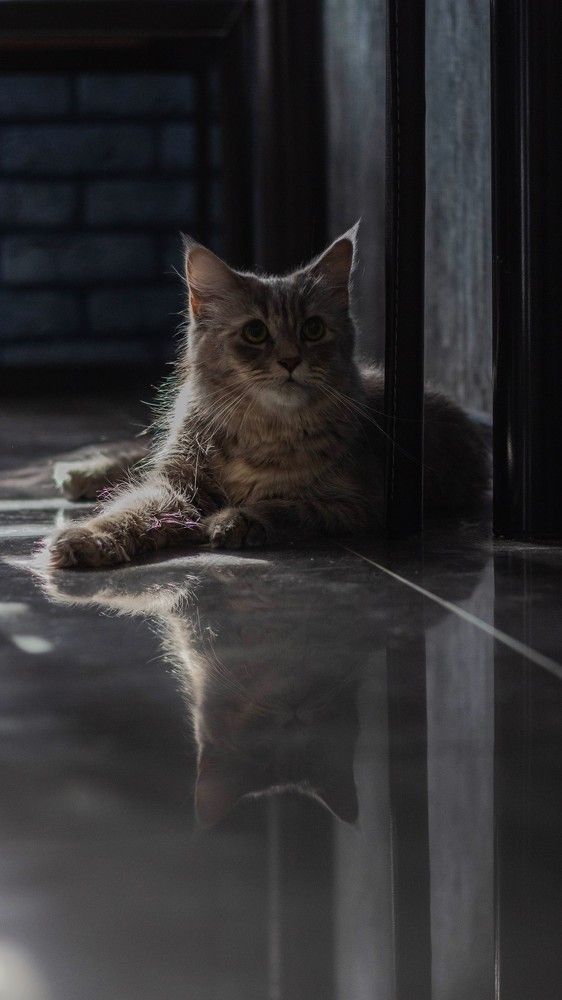 Photograph by Марина Игнатьева