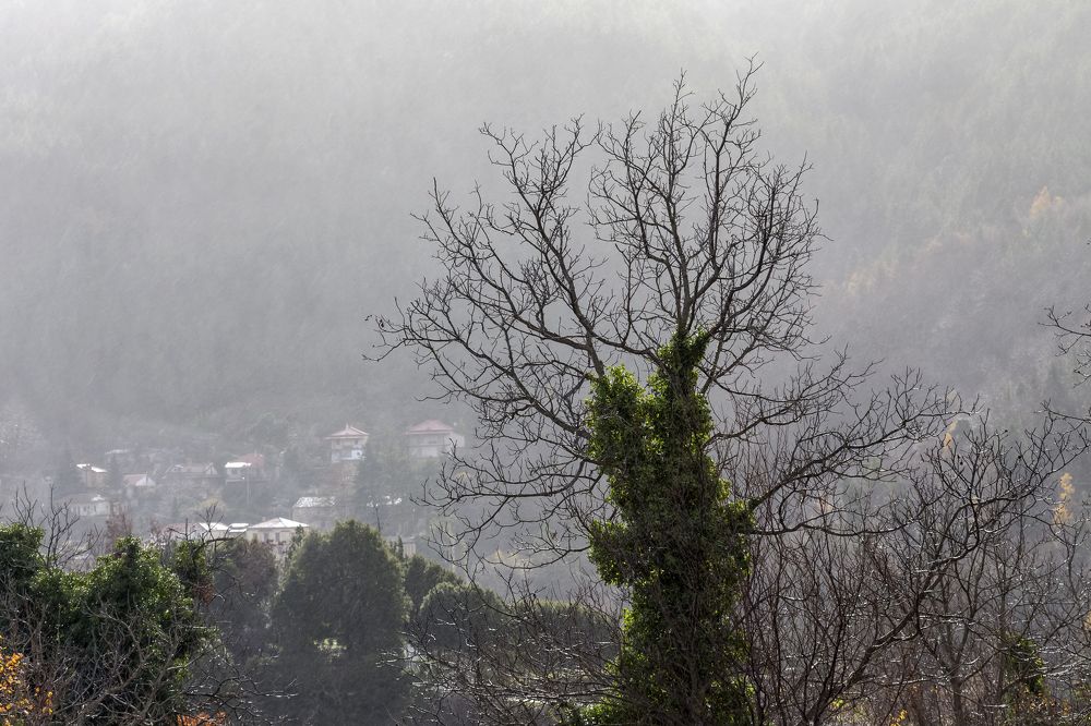 Photograph by TETYANA LYAPI