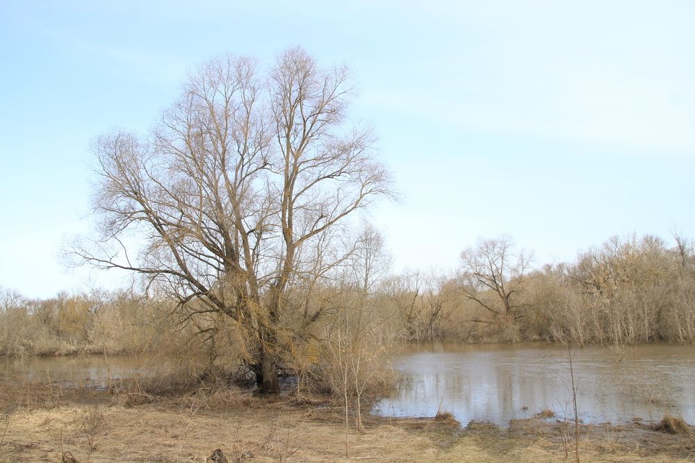 Photograph by Илья Беликов