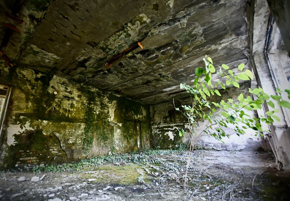 Photograph by Светлана Поляничева