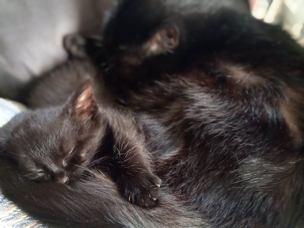 Photograph by Наталья Сорокина