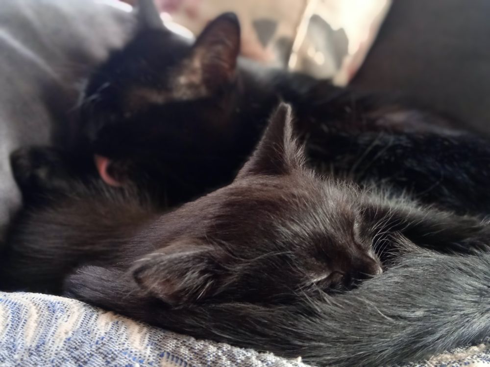 Photograph by Наталья Сорокина