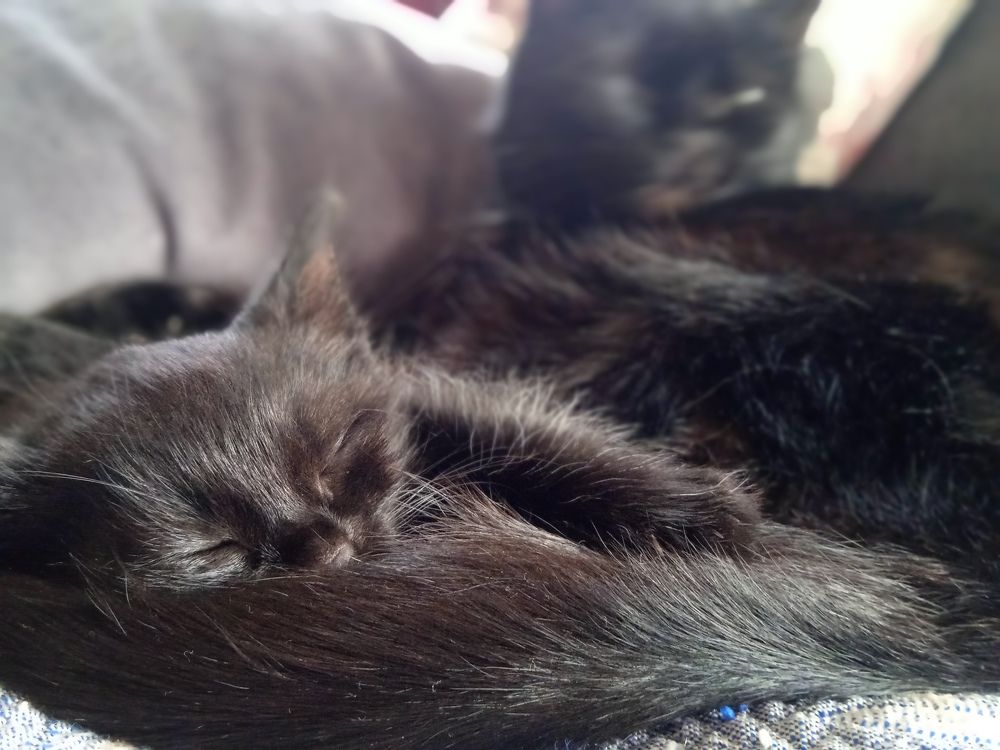 Photograph by Наталья Сорокина