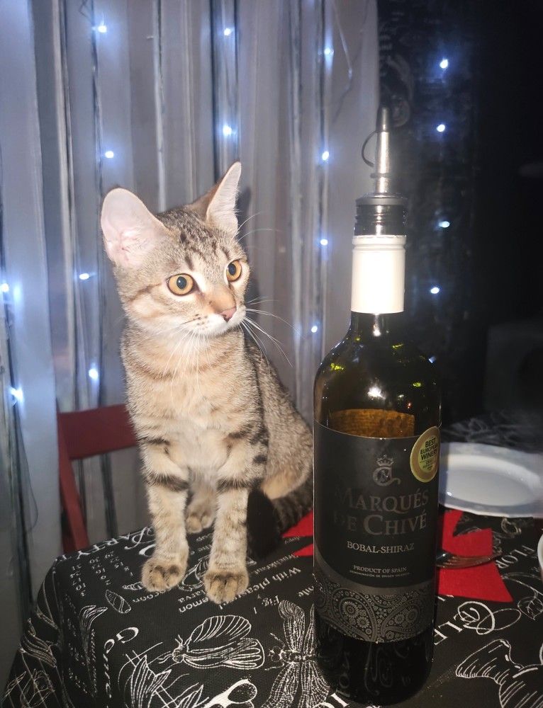 Photograph by Людмила Ваганова