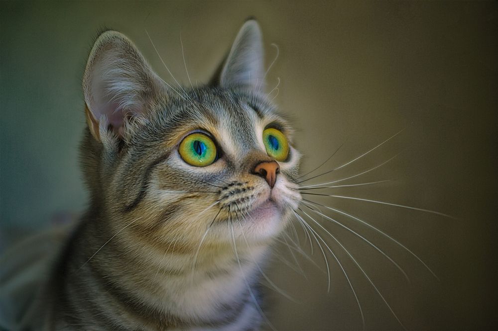 Photograph by Игорь Хижняк