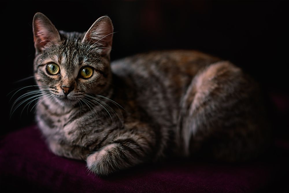 Photograph by Игорь Хижняк