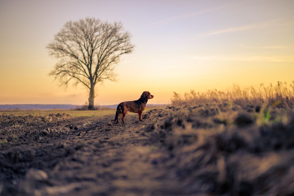 Photograph by Omer Gojak