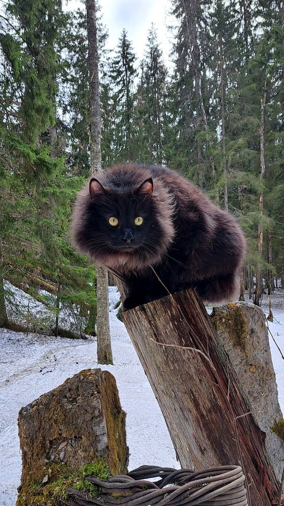 Photograph by Галина Перепечаева