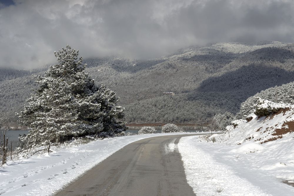 Photograph by TETYANA LYAPI