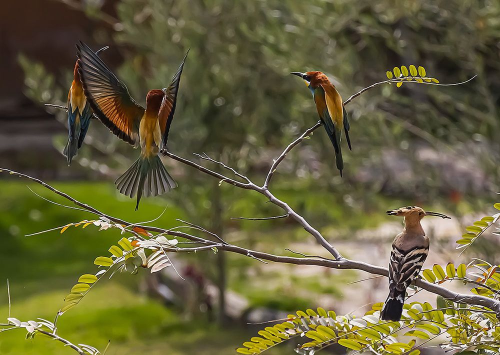 Фотография автора Reda