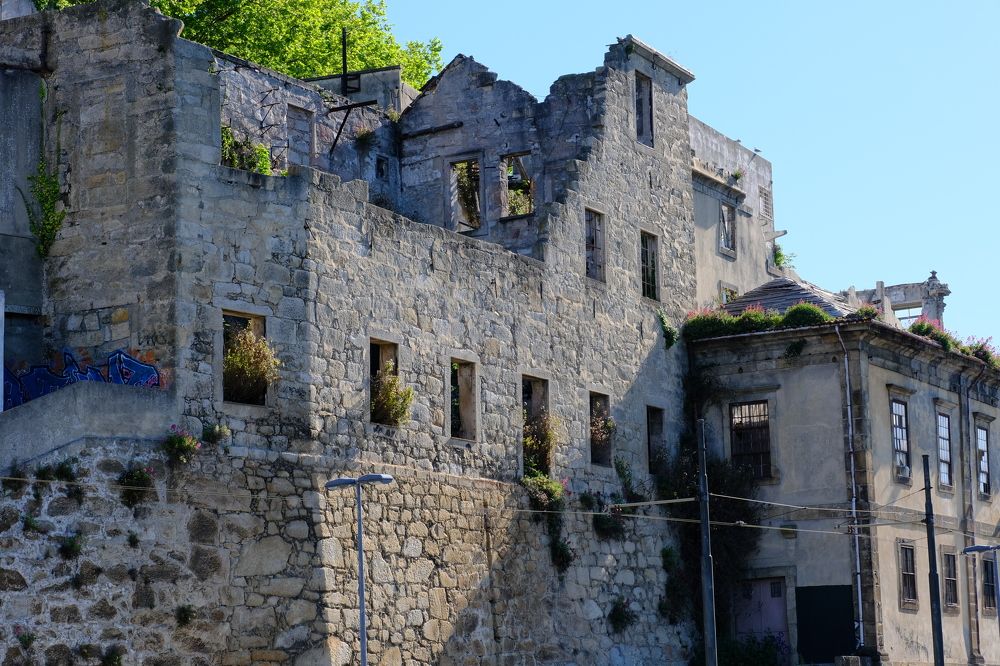 Фотография автора Jorge Correia