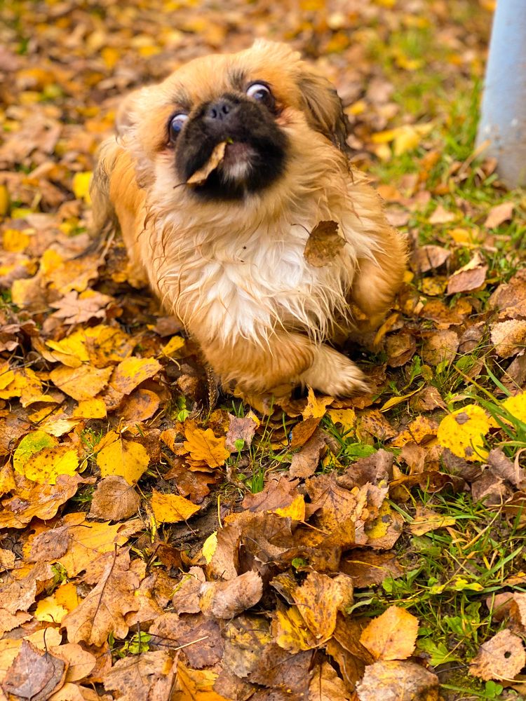 Photograph by Яна Лугинина