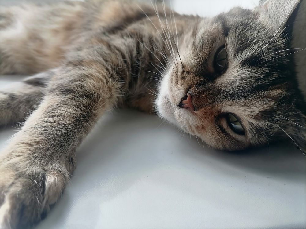 Photograph by Андрей Трякин