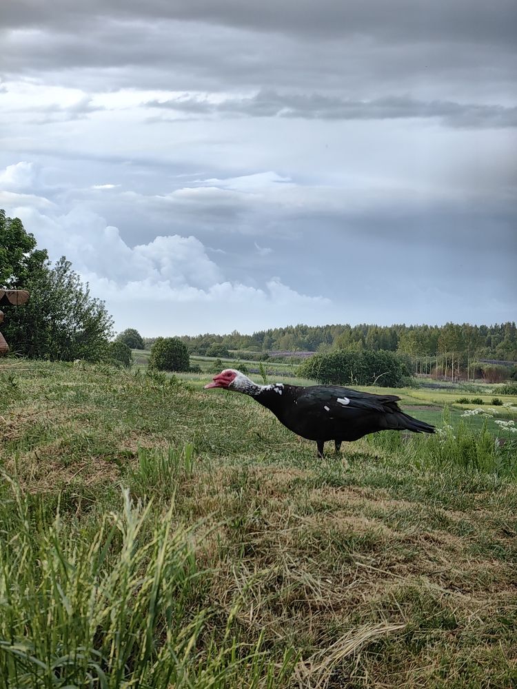 Photograph by Veranika Siratsinina