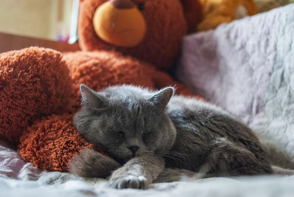 Photograph by Андрей Трякин