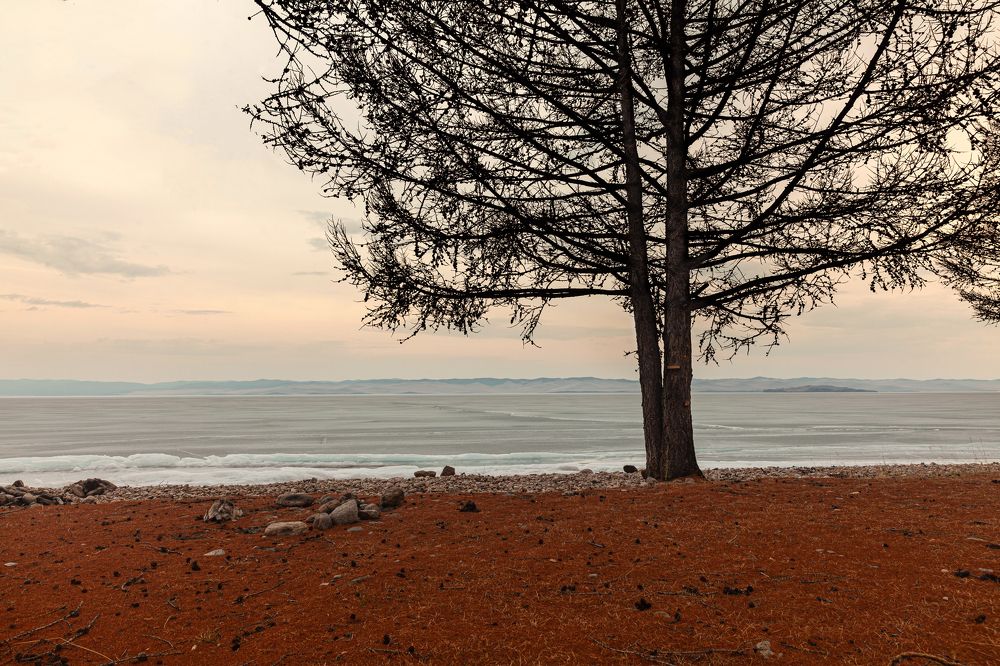 Photograph by Денис Дорошенко