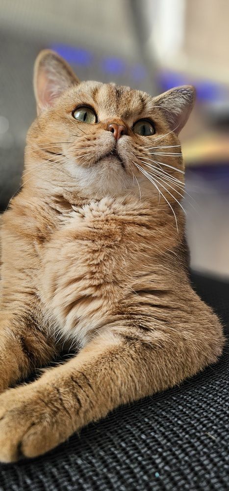 Photograph by INNA KHOMENKO