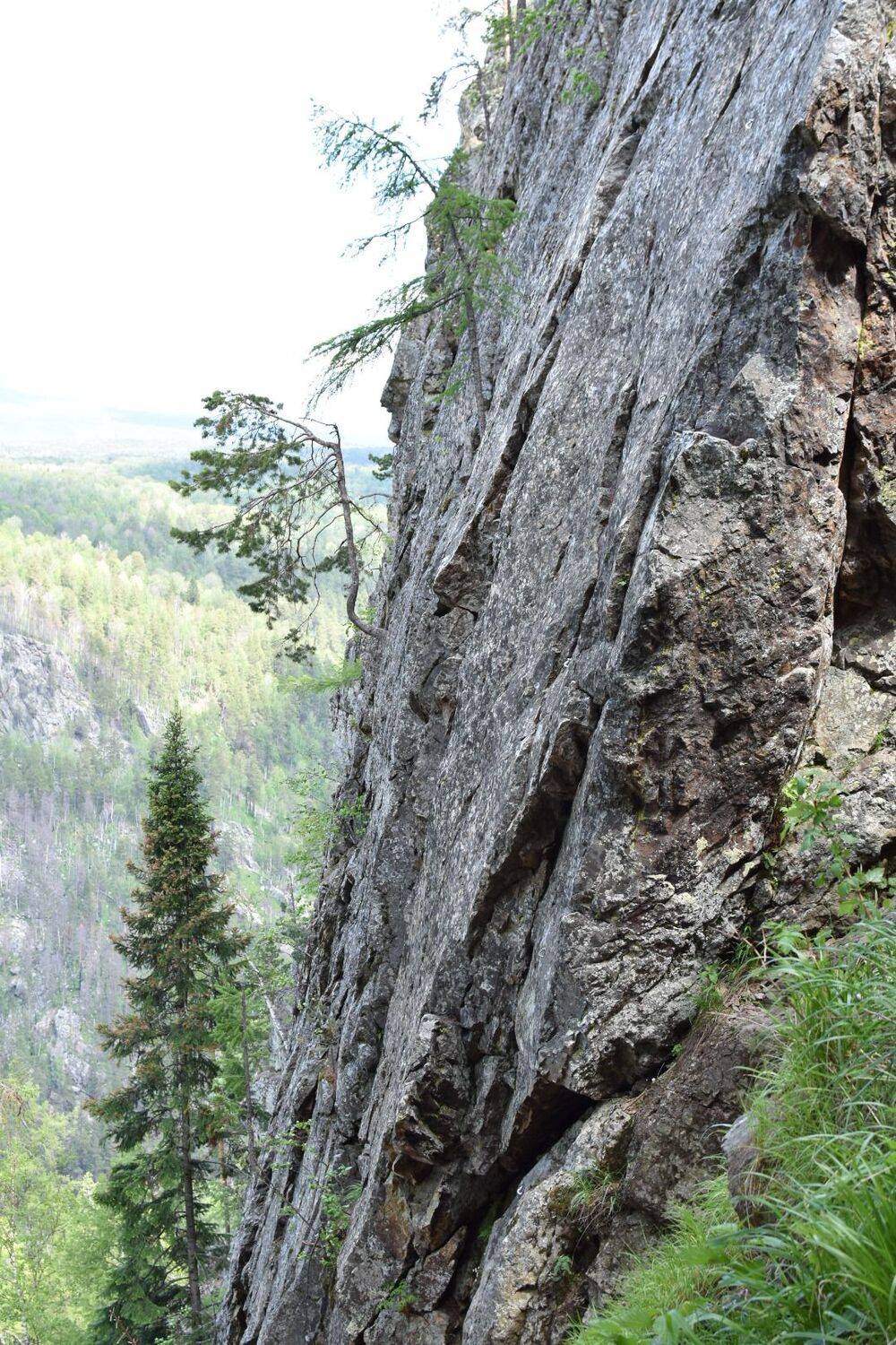 Photo #10684393