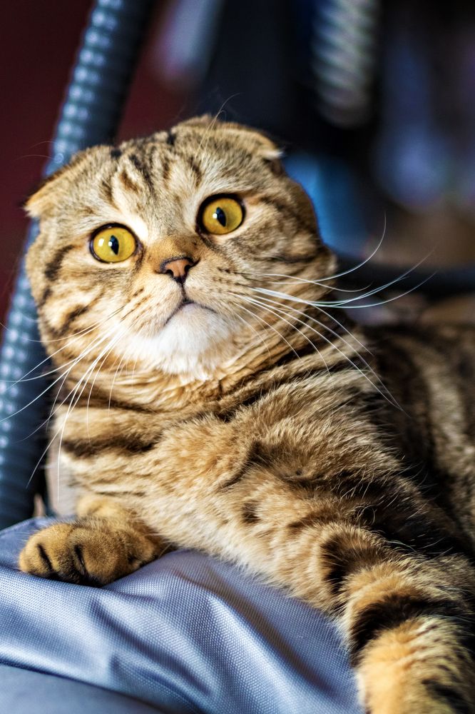 Photograph by Нина Пашина