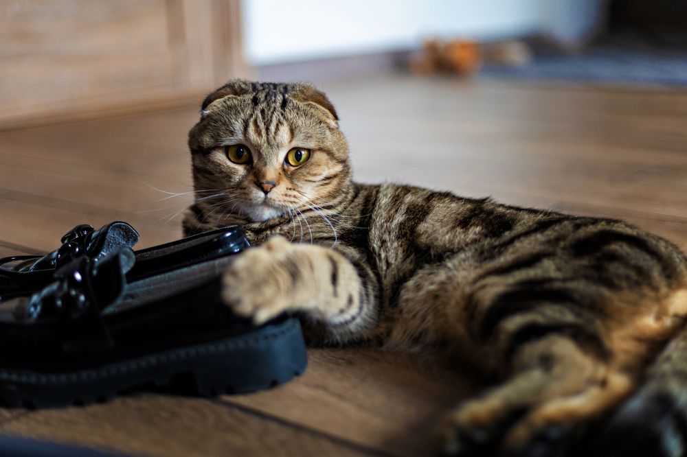 Photograph by Нина Пашина