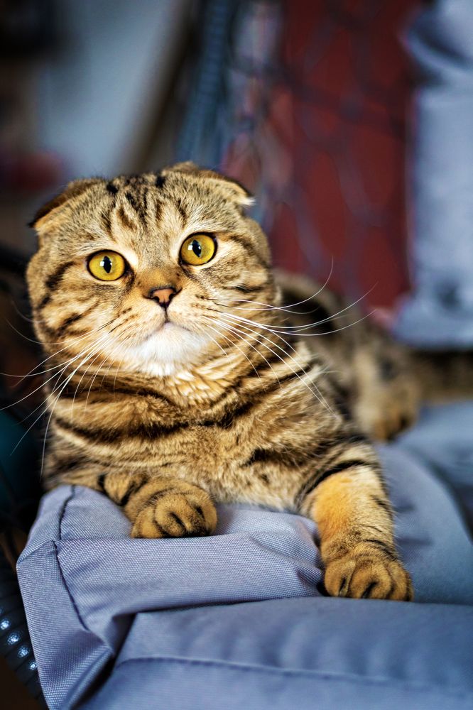 Photograph by Нина Пашина