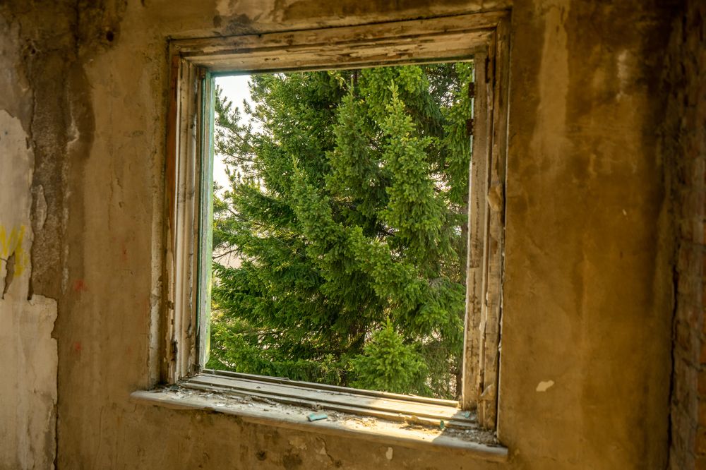 Фотография автора Виталий Гавронский