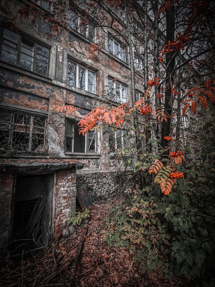 Фотография автора Виталий Гавронский