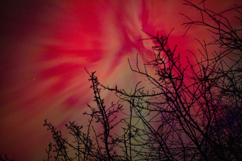 Photograph by Кокорин Алексей