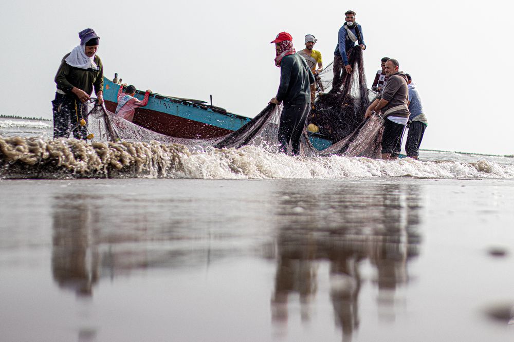 Фотография автора Mohamed Safwat