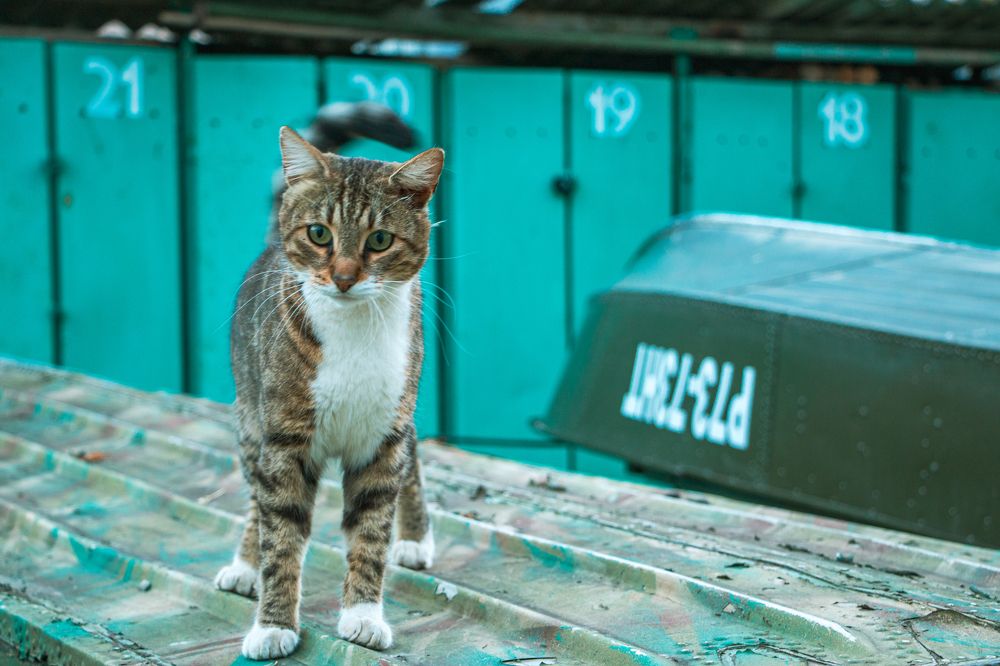 Photograph by Ирина Антонова