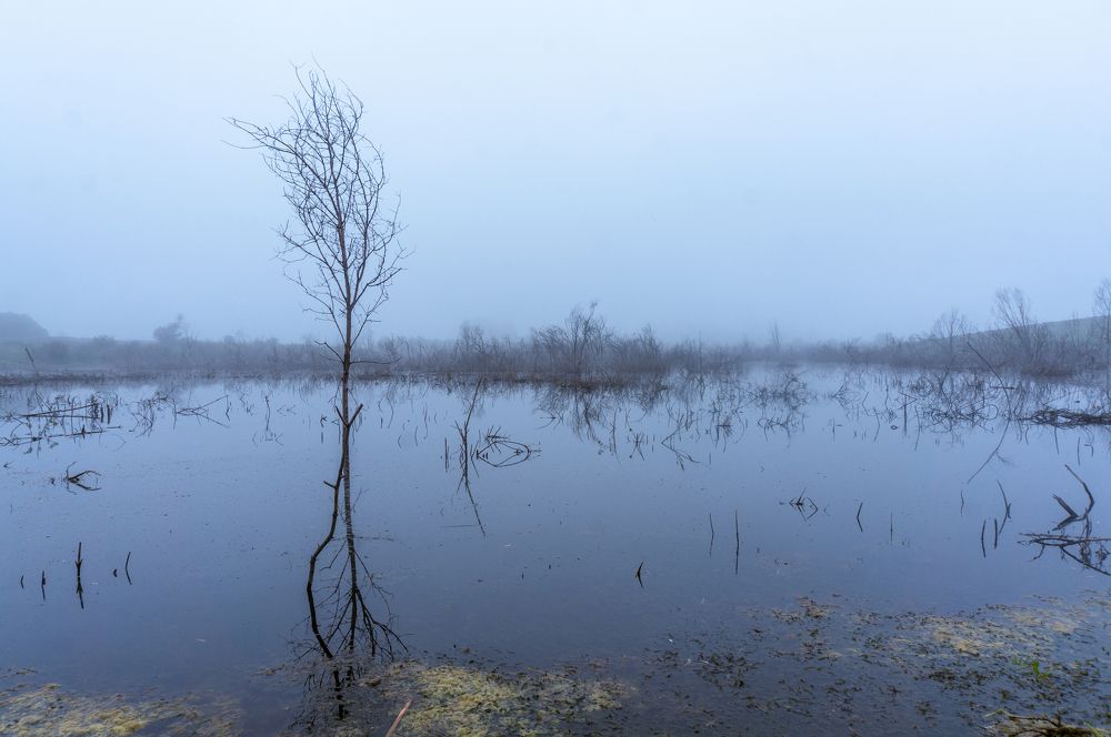 Фотография автора Виталий Гавронский