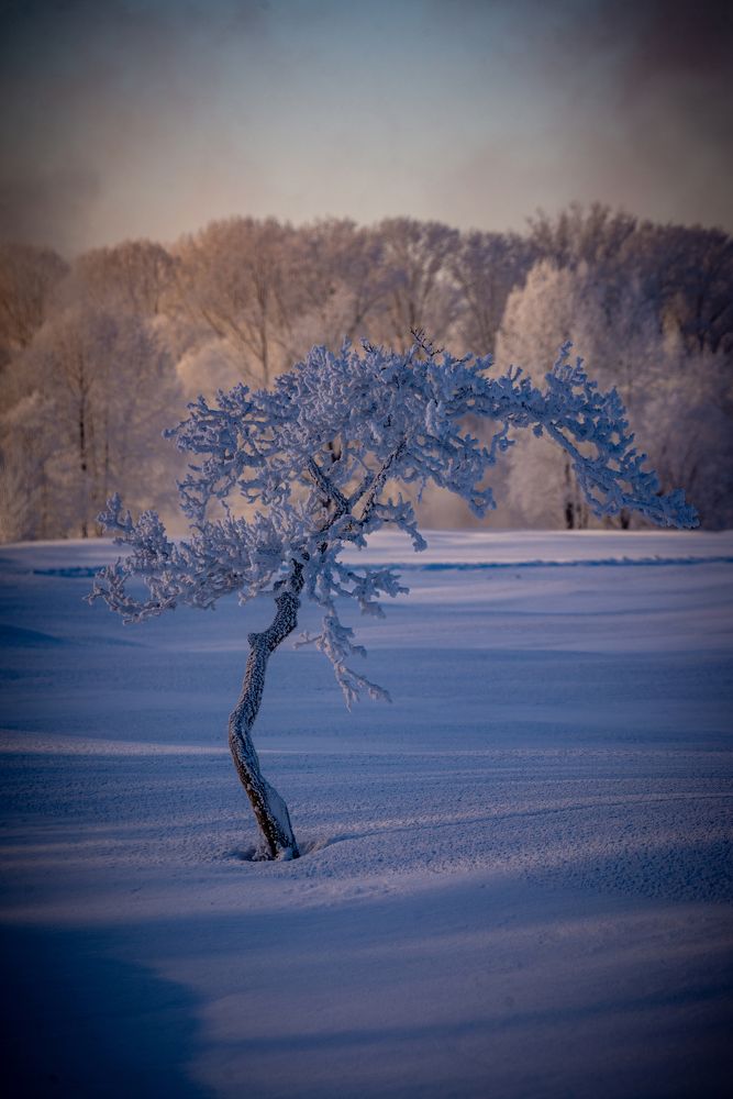 Фотография автора Виталий Гавронский
