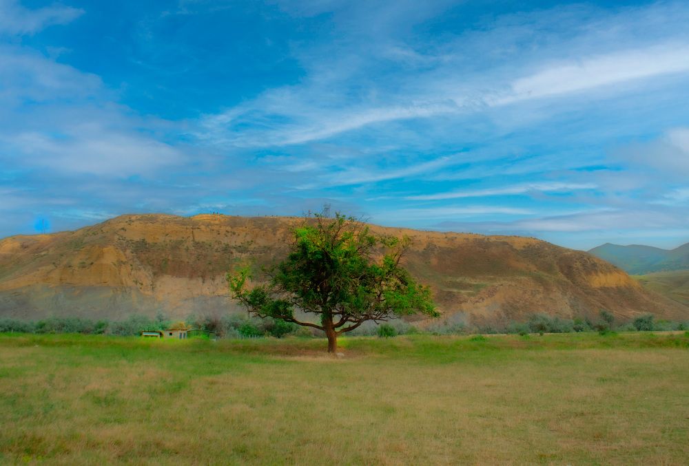 Photograph by Людмила Ваганова