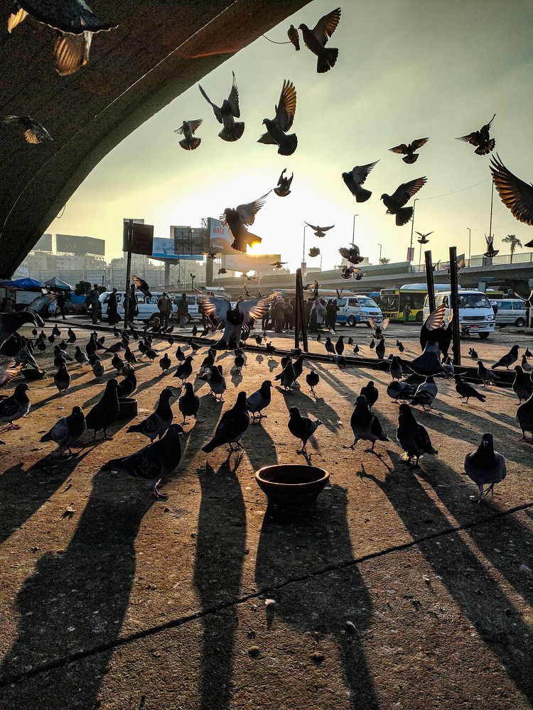 Photograph by Marwa Atef