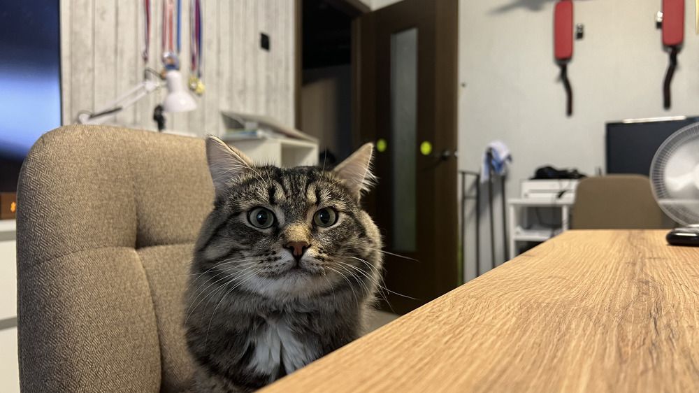 Photograph by Denis Chigintsev