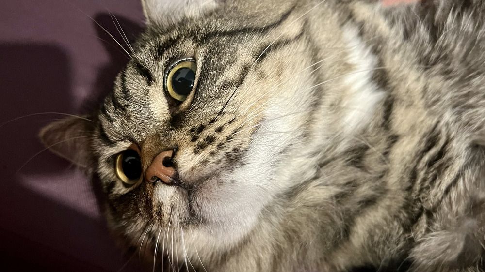 Photograph by Denis Chigintsev