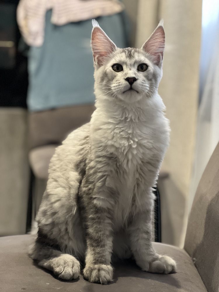 Photograph by Denis Chigintsev