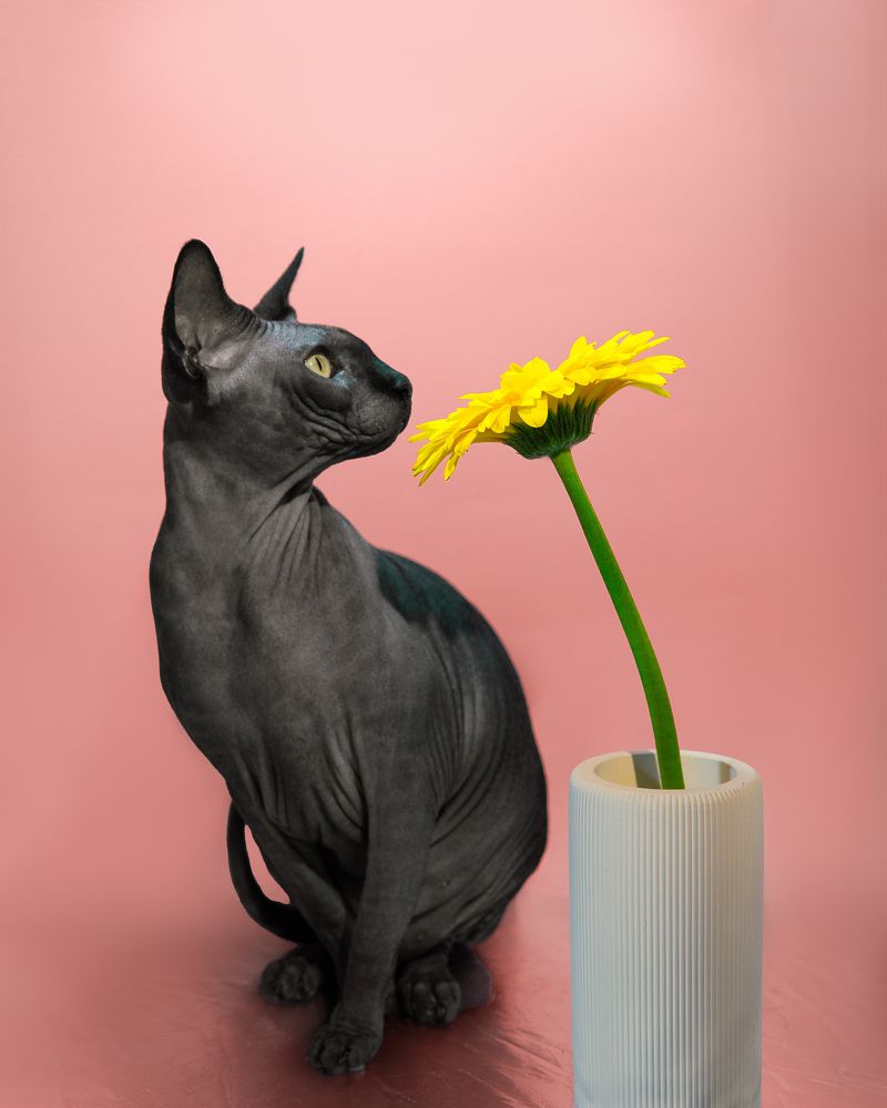 Photograph by Анастасия Черкасова