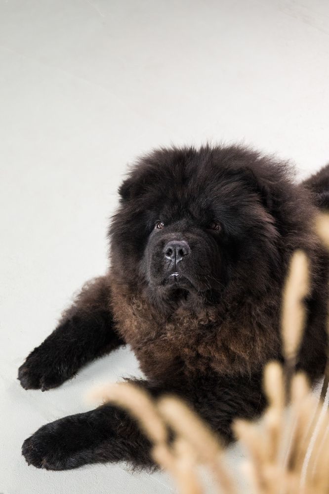 Photograph by Макарова Татьяна