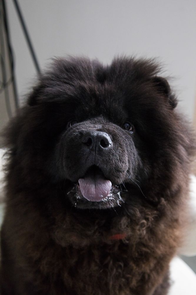 Photograph by Макарова Татьяна