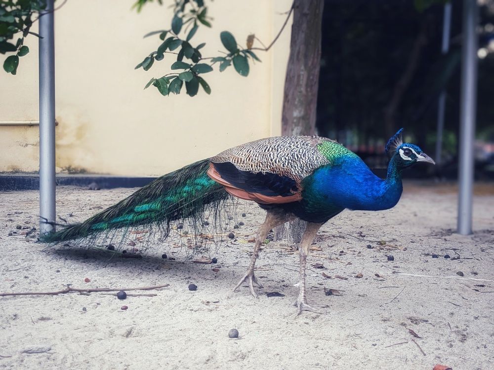 Photograph by Ishmam Ishmam