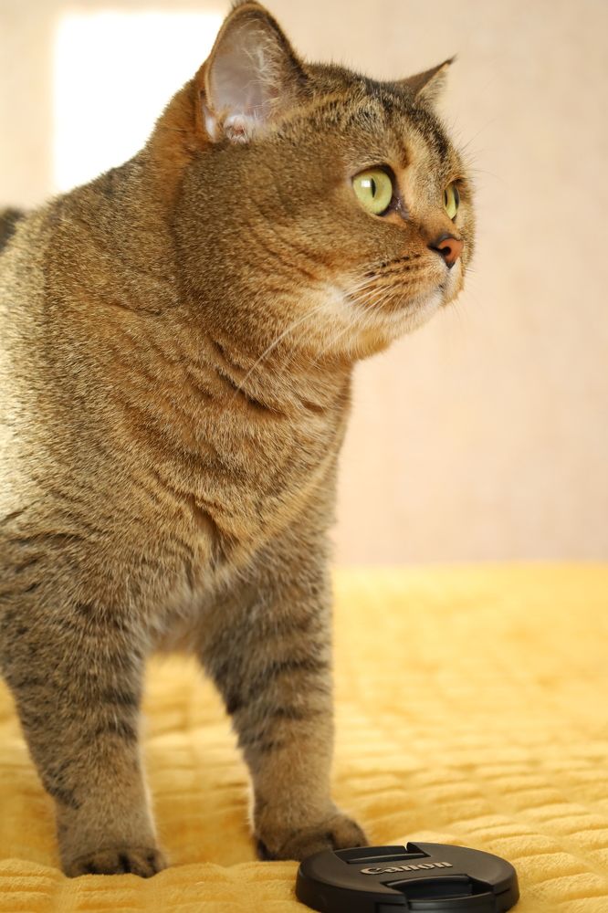 Photograph by Макарова Татьяна