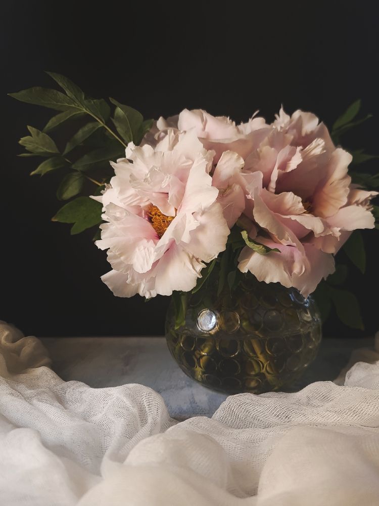 Photograph by Victoria Stoliarenko