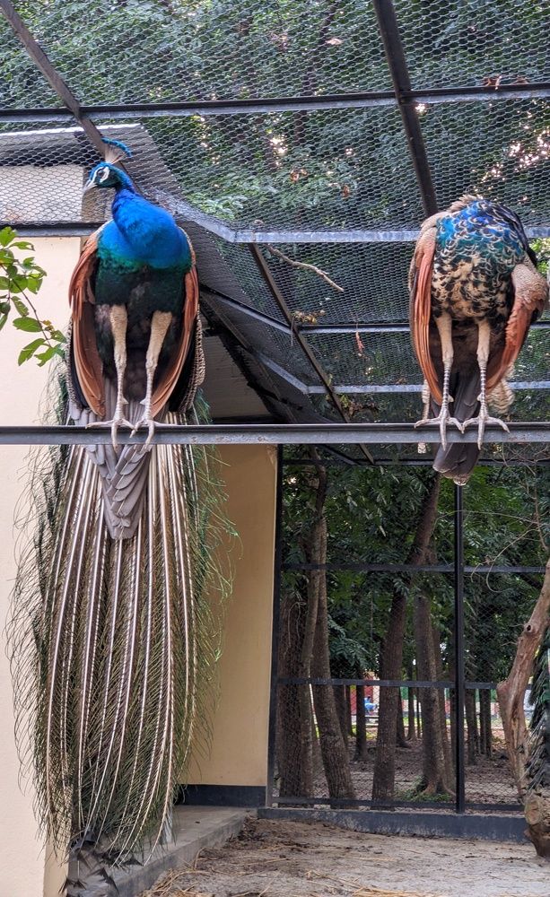 Photograph by Ishmam Ishmam