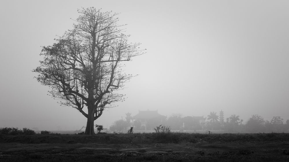 Photograph by Ninh Quốc Trịnh